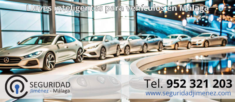 Llaves inteligentes para vehículos en Málaga Llaves inteligentes para vehículos en Málaga