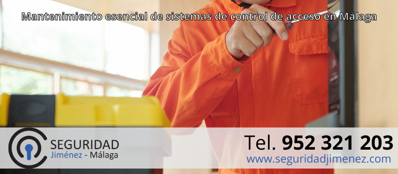 Mantenimiento esencial de sistemas de control de acceso en Málaga Mantenimiento esencial de sistemas de control de acceso en Málaga